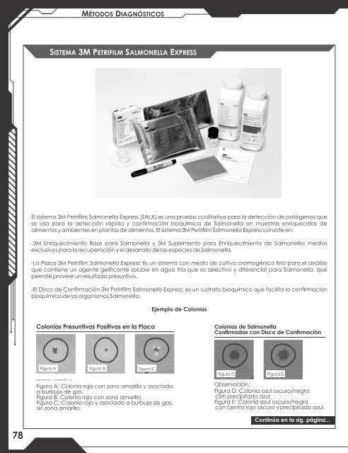 DITECA - Diccionario Técnico Cárnico 2019