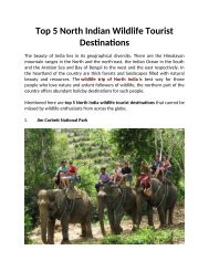 Top 5 North Indian Wildlife Tourist Destinations