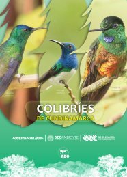 Libro_Colibríes_de_Cundinamarca