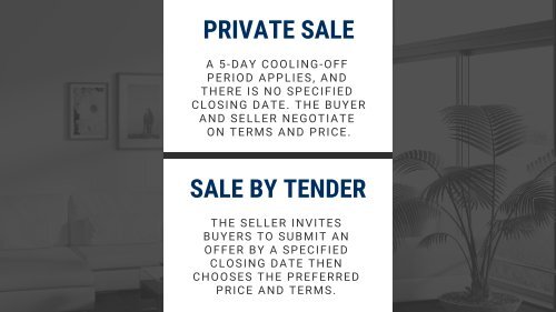 Insite Realty Buyer's Guide