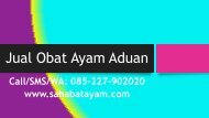 Obat Ayam Sesudah Di Adu