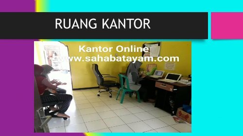 Obat Ayam Sesudah Di Adu