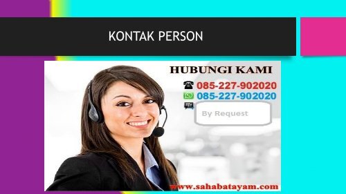 Obat Ayam Sesudah Di Adu