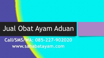 Obat Ayam Sakit Ngorok Parah