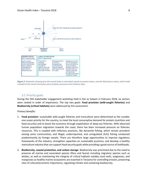 OHI+ Tanzania_Technical Report_2018