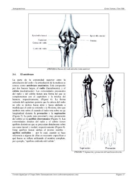 Antropometrica Un libro de referencia sobre mediciones corporales humanas para la educación en deportes y salud - Kevin Norton, Tim Olds