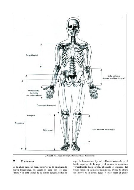 Antropometrica Un libro de referencia sobre mediciones corporales humanas para la educación en deportes y salud - Kevin Norton, Tim Olds