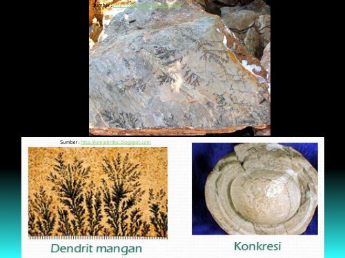 03-paleontologi-proses-pemfosilan