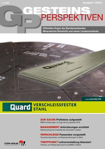 GesteinsPerspektiven 01/19