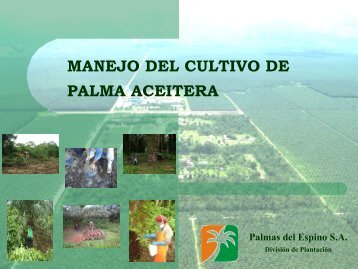 001Manejo cultivo palma aceitera-Palma del Espino SA