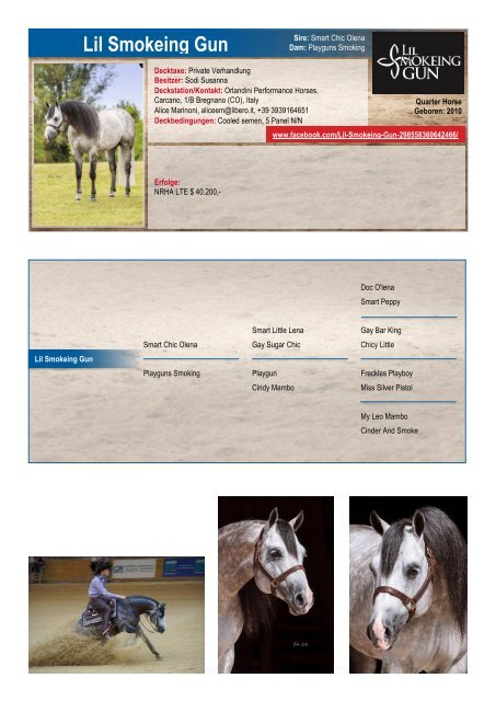 ARHA Stallion Aktion 2019 Katalog_aktualisiert