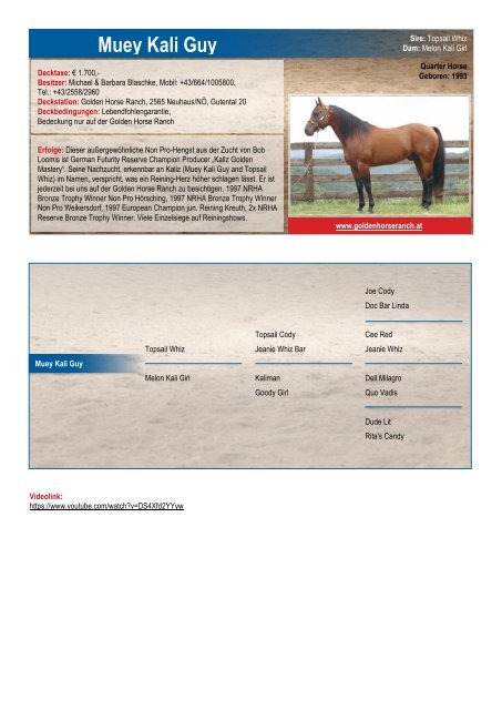 ARHA Stallion Aktion 2019 Katalog_aktualisiert