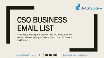 What is the best portal for availing the chief security officer mailing list? 