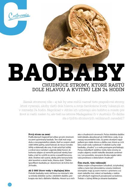 Slovak Lines Magazin 2 2019