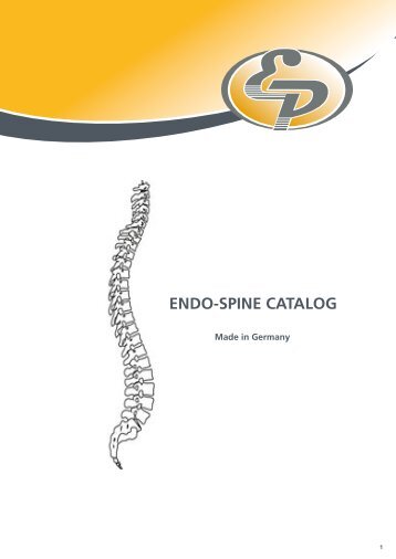 EN Endo-Spine Katalog F