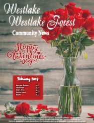 Westlake Forest February 2019