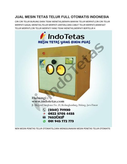 Penetasan Burung Merpati 0822 5705 4455