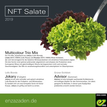 NFT Salate 2019