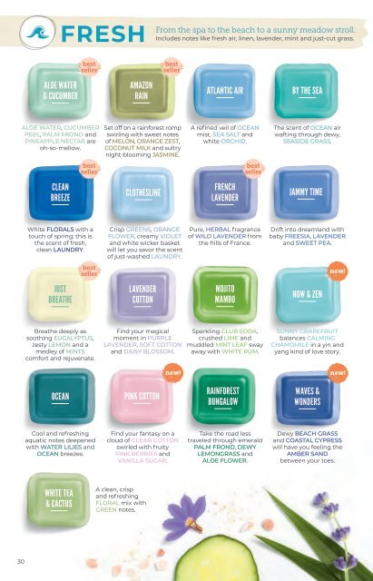 Scentsy Spring/Summer 2019 Catalog