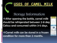 uses-of-camel-milk - aadvik foods india