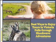 Best Ways to Enjoy Tours in Victoria Falls through Shockwave Adventures