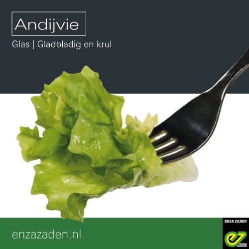 Leaflet Andijvie onder glas 2019