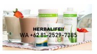 PROMO, WA +62 81-2529-7385, Herbalife Malang