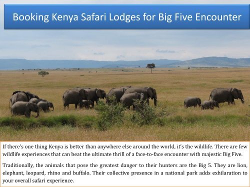 Booking Kenya Safari Lodges for Big Five Encounter