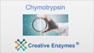 Chymotrypsin