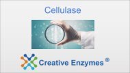 Cellulase