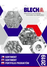 Blecha Katalog 2019 CZ-SK-PL