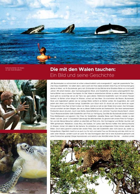 dormagazin_1-19_gesamt_final_einzel