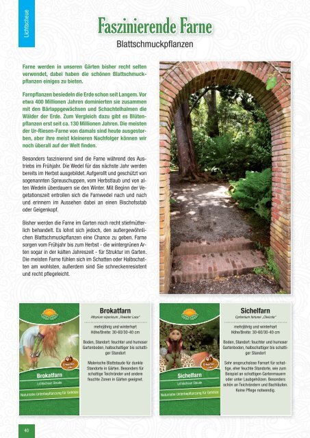 Hödnerhof Staudenkatalog 2019