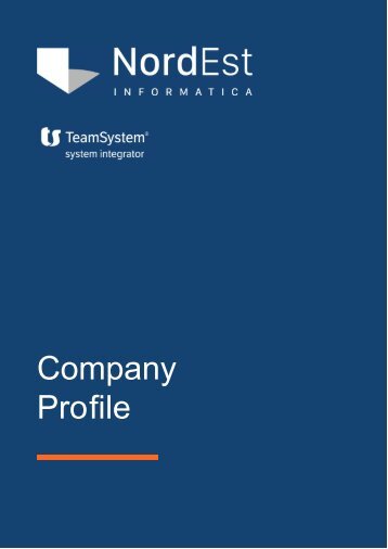 Company profile NORDEST INFORMATICA