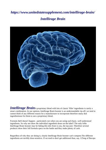  intellirage-brain