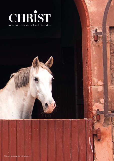 2019_EQ-Magazin_Frühjahr-Sommer_online_02