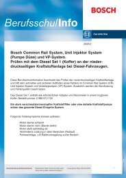 Bosch Common Rail System, Unit Injektor System (Pumpe Düse ...