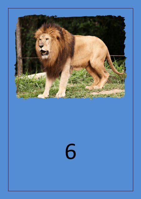 The Lion 3