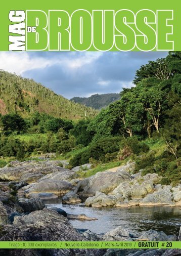 MAG DE BROUSSE N°20