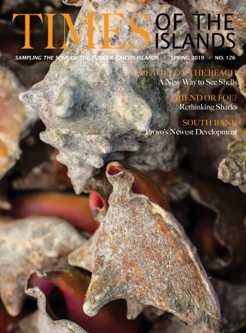 Times of the Islands Spring 2019