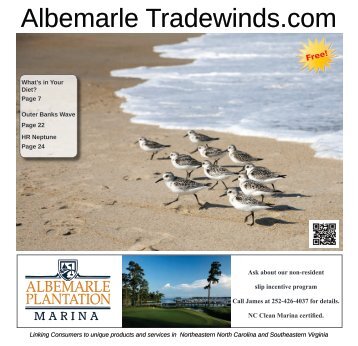 Albemarle Tradewinds March 2019 Web OPT