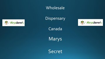 Marys Secret- Wholesale Dispensary Canada