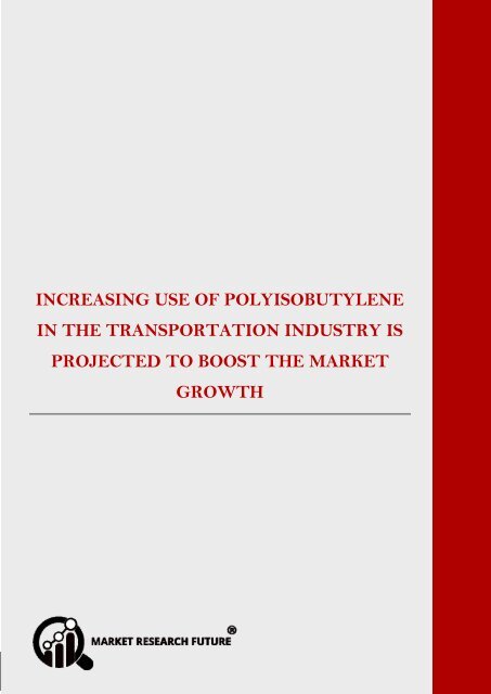 Polyisobutylene Market