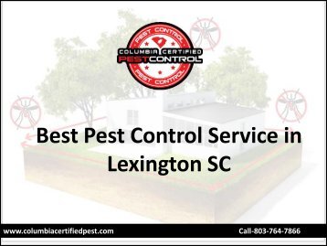 Best Pest Control Service in Lexington SC