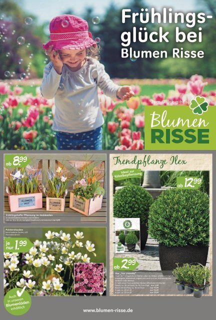 Blumen Risse_Beilage_Maerkte_Web-Blaetterkatalog-Doppelseiten