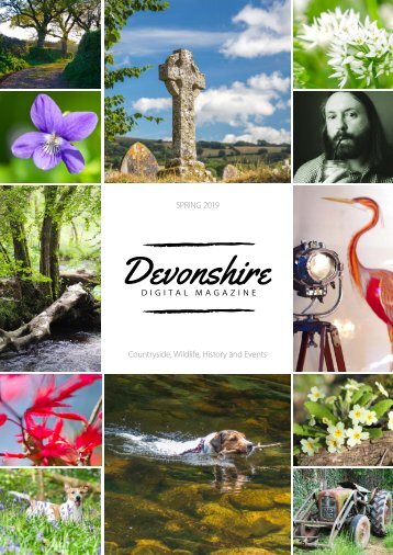 Devonshire ezine Spring 19