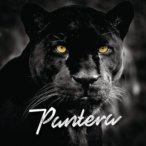 Brochure Digital - Pantera