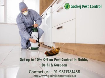 Pest control Gurgaon, Dial +91-9811381458-converted