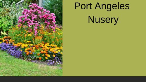 Port Angeles Nursery -  New Dungeness Nursery