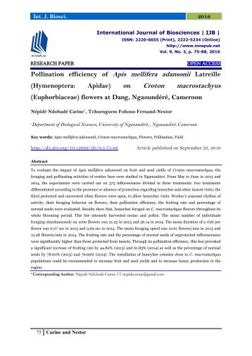 Pollination efficiency of Apis mellifera adansonii Latreille (Hymenoptera: Apidae) on Croton macrostachyus (Euphorbiaceae) flowers at Dang, Ngaoundéré, Cameroon